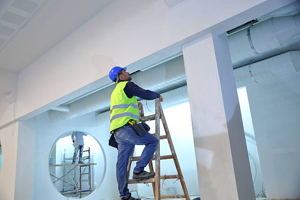 Best Basement Mold Removal  in Huntsville, TN